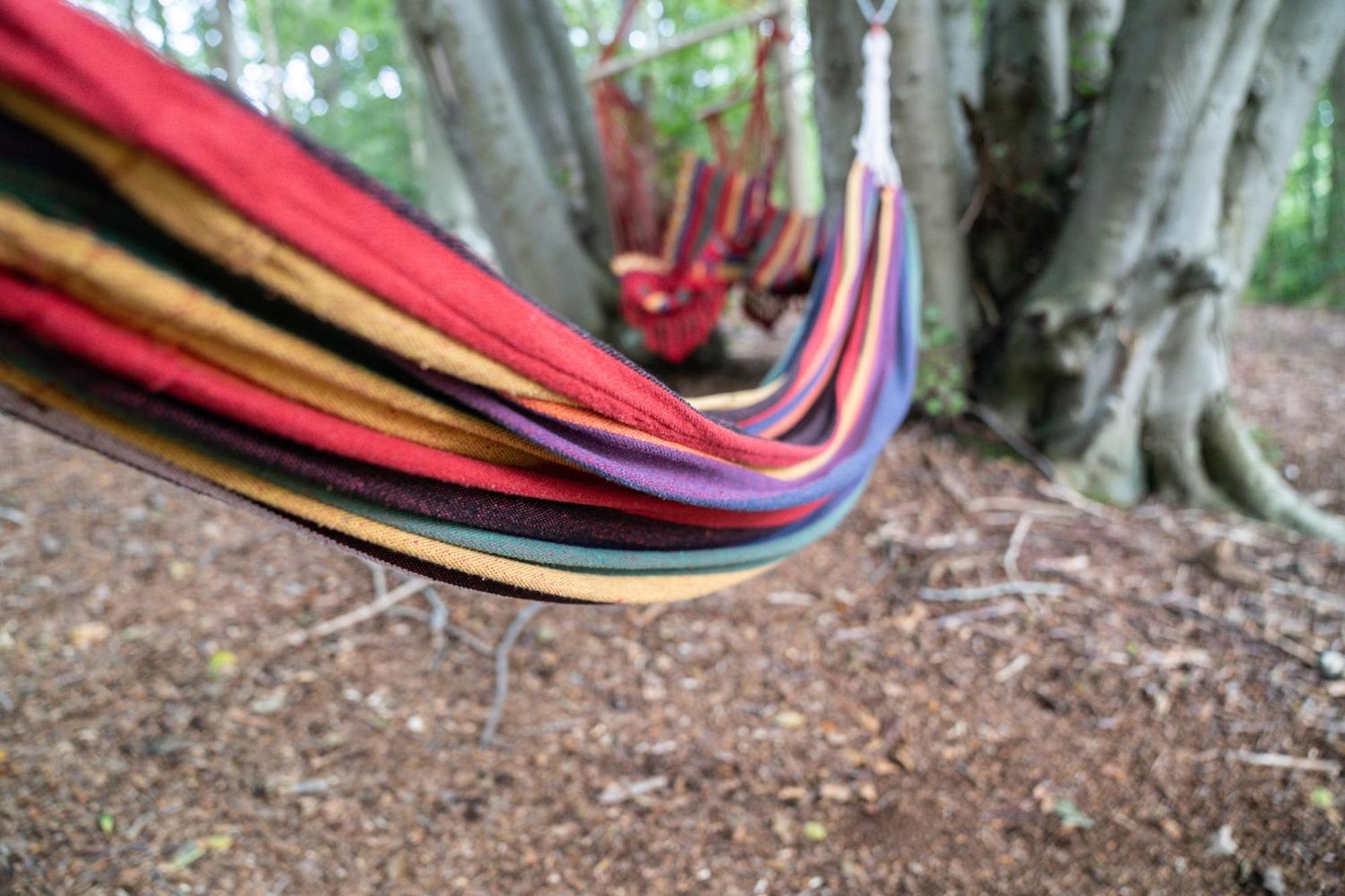 Gite 9 Personnes Fecamp Etretat Colleville Dış mekan fotoğraf